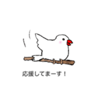 丁寧な白文鳥（個別スタンプ：5）