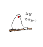 丁寧な白文鳥（個別スタンプ：6）