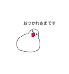 丁寧な白文鳥（個別スタンプ：7）
