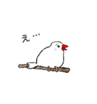 丁寧な白文鳥（個別スタンプ：8）