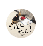 sasuke/fam（個別スタンプ：8）