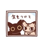 黒ねこさんとキジトラのねこさん（個別スタンプ：9）