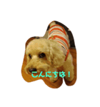 ぼくプリン（個別スタンプ：1）