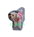 ぼくプリン（個別スタンプ：4）
