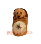 ぼくプリン（個別スタンプ：5）