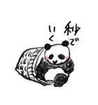パンダだん！ うら若き（個別スタンプ：11）