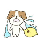 テリアのソラ2（個別スタンプ：10）