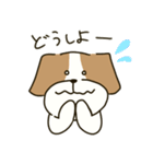 テリアのソラ2（個別スタンプ：16）
