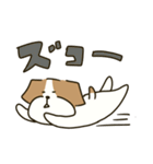 テリアのソラ2（個別スタンプ：19）