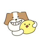 テリアのソラ2（個別スタンプ：22）