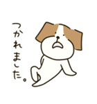 テリアのソラ2（個別スタンプ：24）