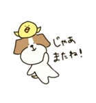 テリアのソラ2（個別スタンプ：26）