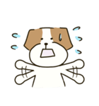 テリアのソラ2（個別スタンプ：27）