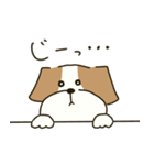テリアのソラ2（個別スタンプ：34）