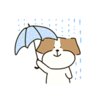 テリアのソラ2（個別スタンプ：35）