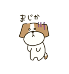 テリアのソラ2（個別スタンプ：37）