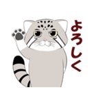 マヌルネコのスタンプ（個別スタンプ：1）