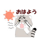 マヌルネコのスタンプ（個別スタンプ：6）