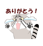 マヌルネコのスタンプ（個別スタンプ：11）
