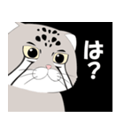 マヌルネコのスタンプ（個別スタンプ：13）