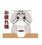 マヌルネコのスタンプ（個別スタンプ：14）