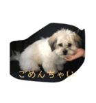 ポキの日常2（個別スタンプ：1）