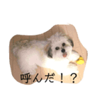 ポキの日常2（個別スタンプ：3）