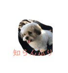 ポキの日常2（個別スタンプ：4）