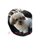 ポキの日常2（個別スタンプ：5）