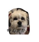ポキの日常2（個別スタンプ：6）