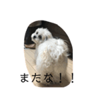 ポキの日常2（個別スタンプ：7）