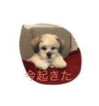 ポキの日常2（個別スタンプ：8）