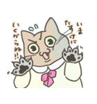 ふくをきたねこ（個別スタンプ：17）