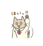ふくをきたねこ（個別スタンプ：25）