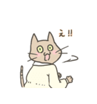 ふくをきたねこ（個別スタンプ：33）