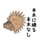 木想店外（個別スタンプ：24）