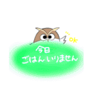ゆるかわフクロウたち【家族連絡用】（個別スタンプ：11）