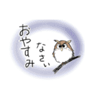 ゆるかわフクロウたち【家族連絡用】（個別スタンプ：27）