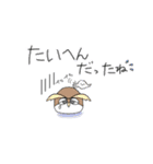 ゆるかわフクロウたち【家族連絡用】（個別スタンプ：32）
