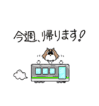 ゆるかわフクロウたち【家族連絡用】（個別スタンプ：37）