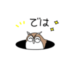 ゆるかわフクロウたち【家族連絡用】（個別スタンプ：40）