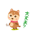 のりわんこ（個別スタンプ：1）