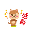 のりわんこ（個別スタンプ：3）