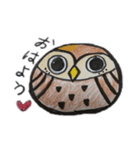 ダルマふくろうちゃん（個別スタンプ：1）