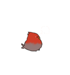 赤いとりと黒いとり（個別スタンプ：4）