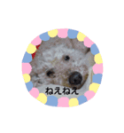 トマプー（個別スタンプ：7）
