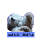 トマプー（個別スタンプ：8）