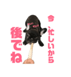 イヴ2か月スタンプ第2弾（個別スタンプ：2）
