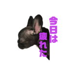 イヴ2か月スタンプ第2弾（個別スタンプ：7）