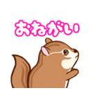 ぴょた＆ぴょこスタンプ（個別スタンプ：10）